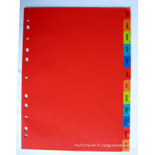 12 pages couleur PP Index diviseur avec mois imprimés (BJ-9023)